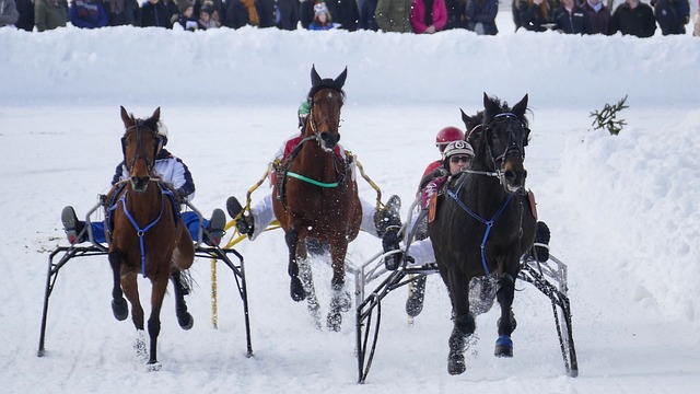 球队在过去 球队在过去