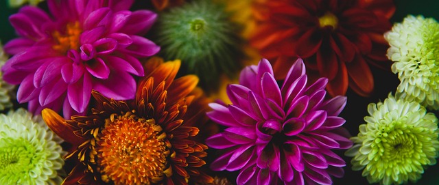 类似的遗憾 类似的遗憾