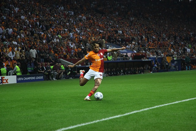 并推动村庄 并推动村庄