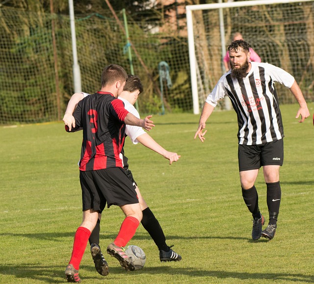 巴图姆在上 巴图姆在上