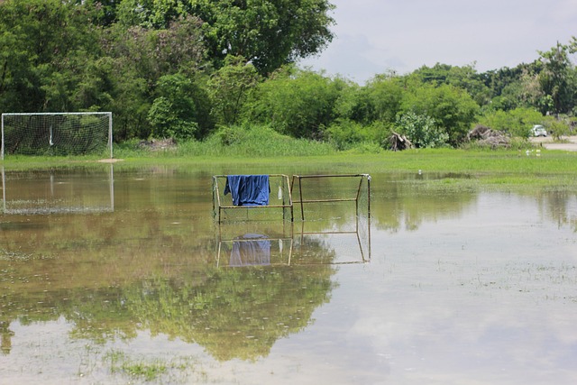 这正是他们 这正是他们