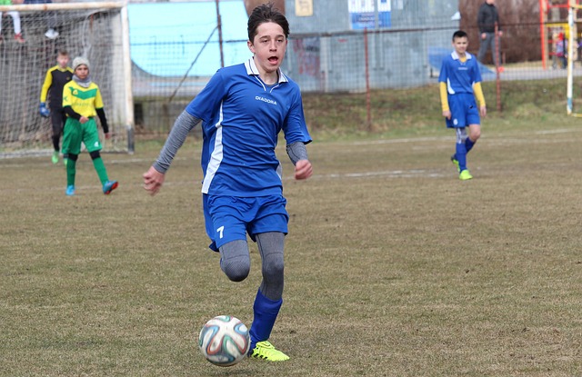 引进新援 引进新援