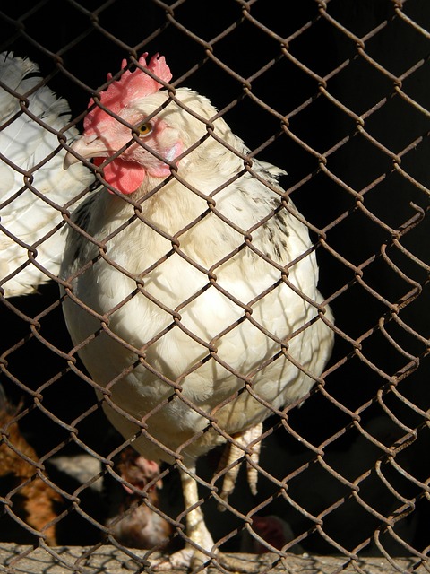 A名單是每 A名單是每