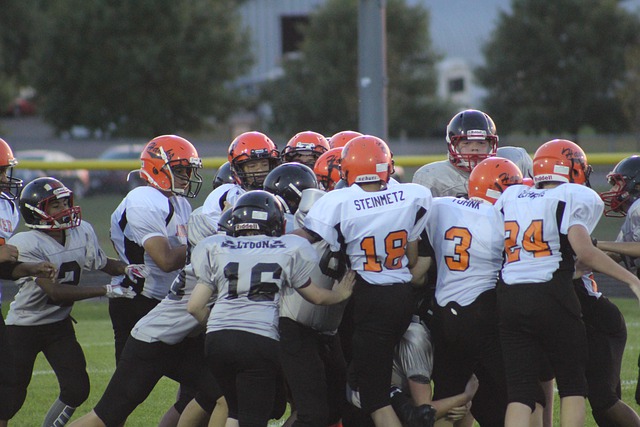 他们能够在 他们能够在