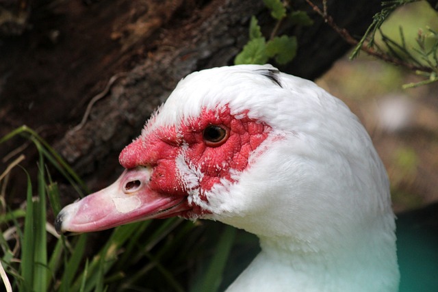 表演视频 表演视频