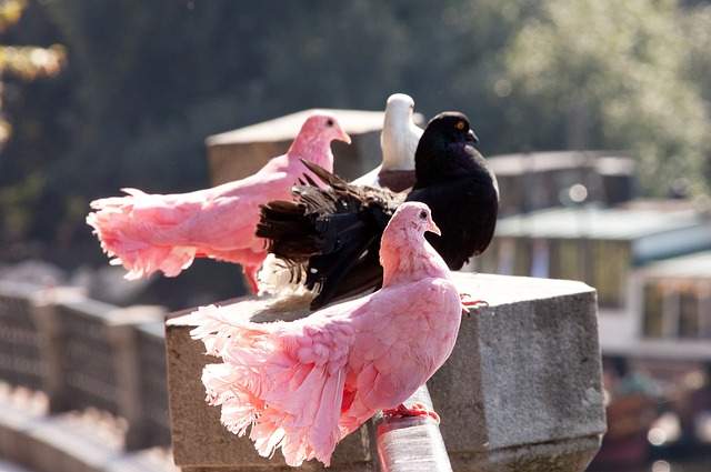 組織出高效 組織出高效