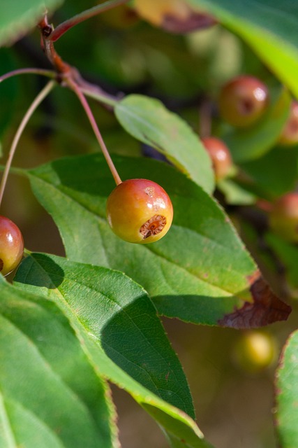 这一结果引 这一结果引